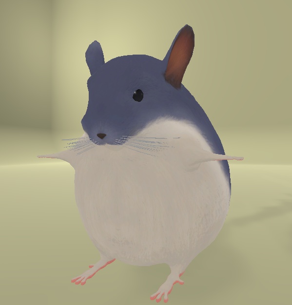チンチラ