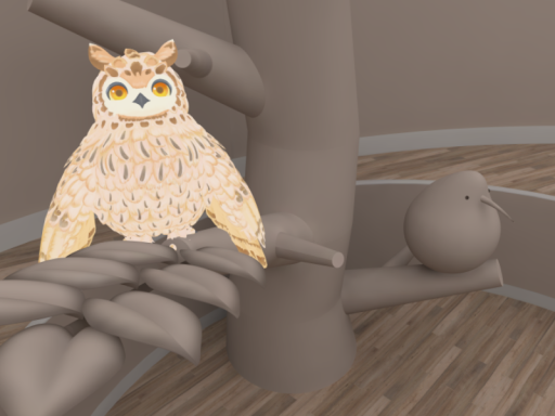 フクロウの住処