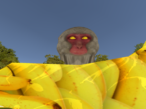 Camomonkey Avatar World