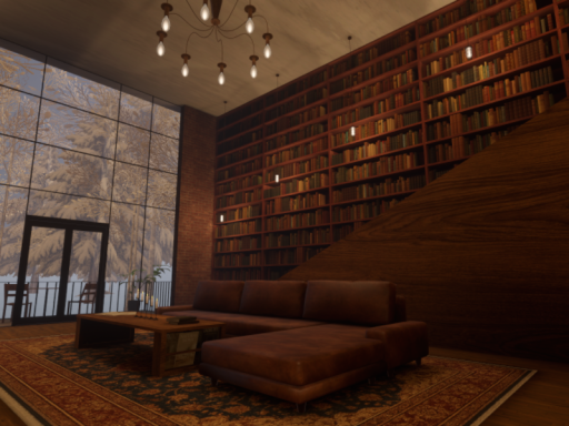 Curio House -reading books-