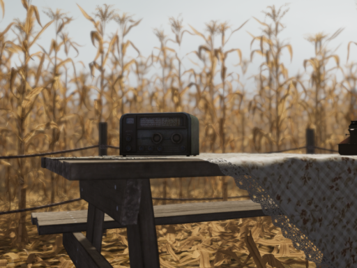 picnic