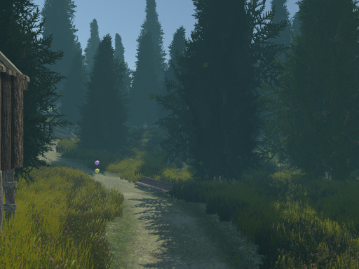In the woods