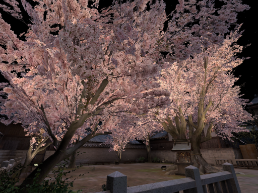 SAKURA hiroba-yoru