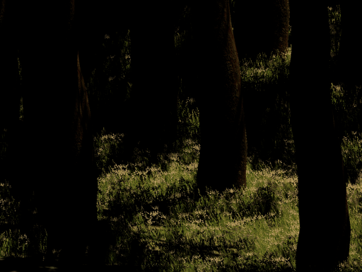 Nature Walk