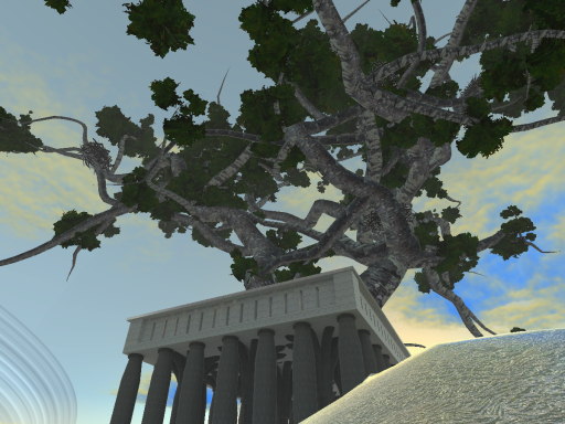 Tree of Paradise