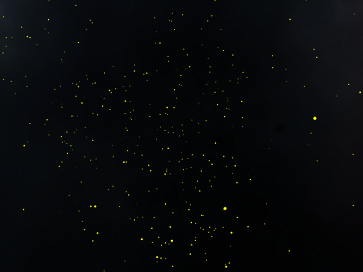 Fireflys