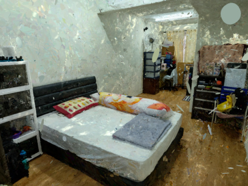 Tamacchi's 3DGS Room （2025）