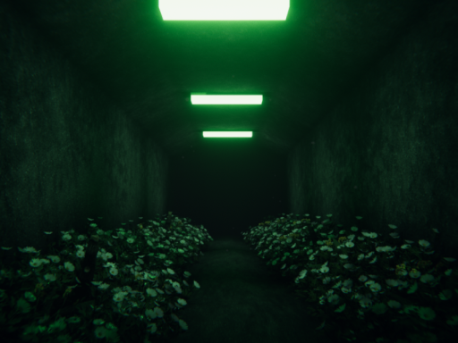 Flower Tunnel