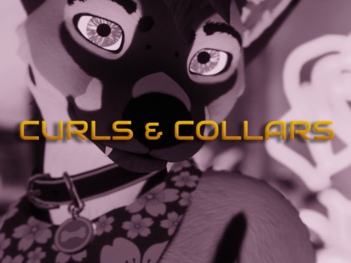 Curls And Collars - 2022
