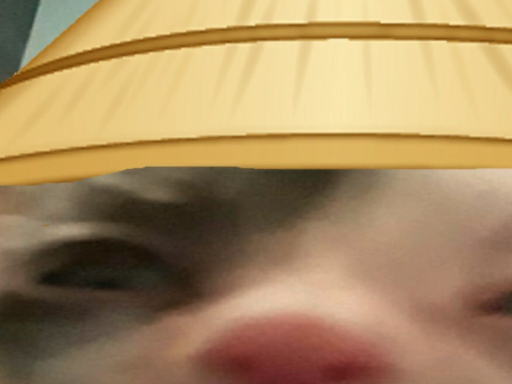 Bandit's stupid world
