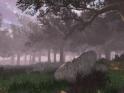 The Clearing