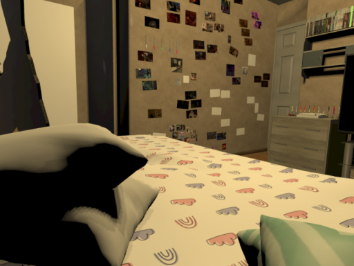 The Dalmatian's Home
