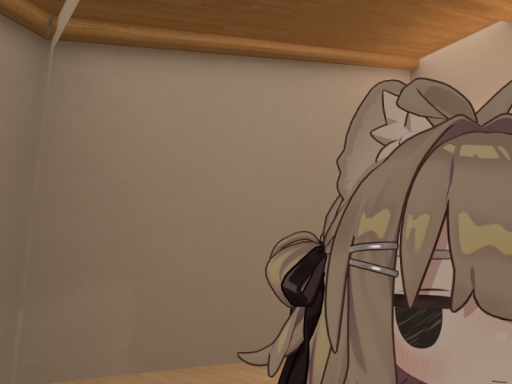 ミラーがあるだけ。