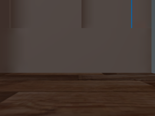 Wolfie's Apartment