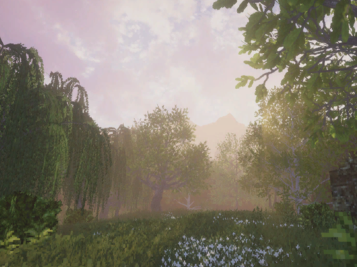 New Dawn
