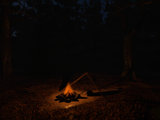 Camp in the woods