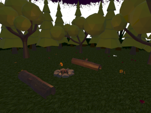 Serene Campfire