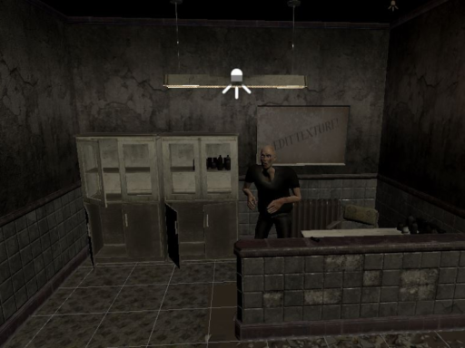 Ice Haunted Hospital