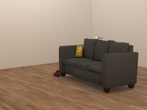 Bachelor Male Living Space