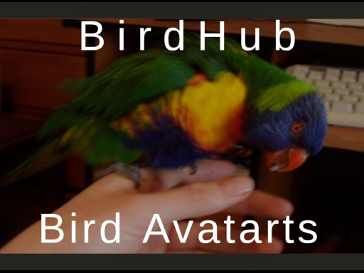 BirdHub Udon Wip