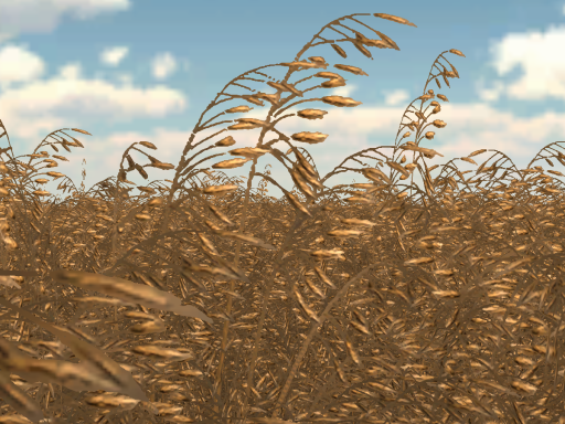 Rye