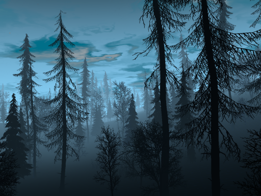 Forest of The North