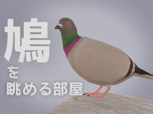 鳩を眺める部屋
