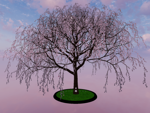 Tree in the Sky