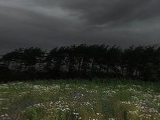 Rainy meadows