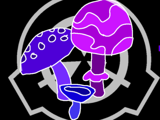 Shrooms Founation