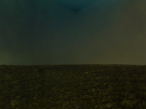 new home world