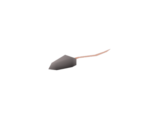 RatStation