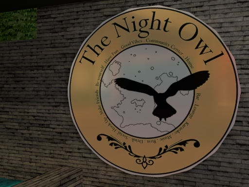The Night Owl