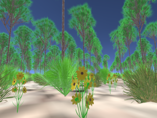 The Pinelands of the Miami Rock Ridge