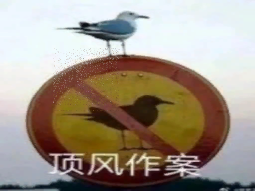 梦幻水帘洞