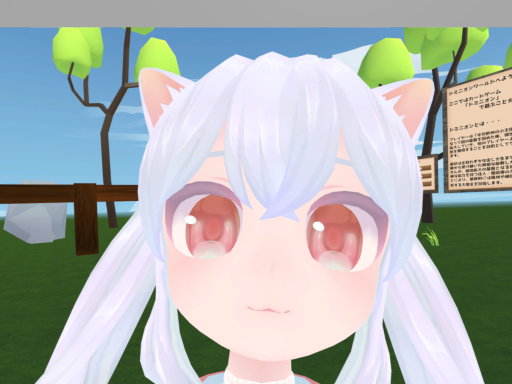 Little nova Ver1․0