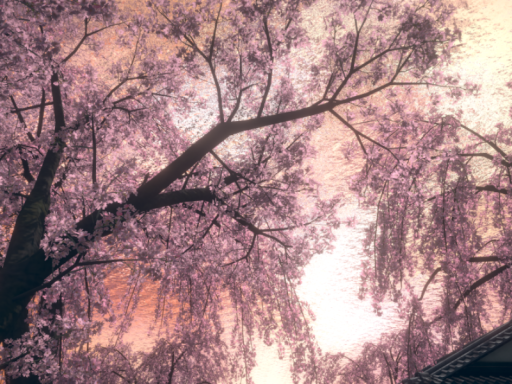 水面下の桜街